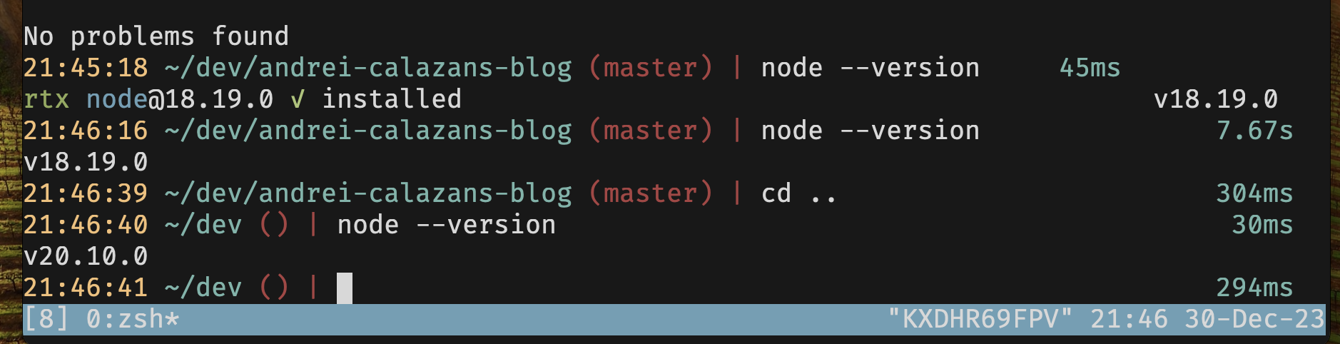 Mise version manager in action managing Node.js